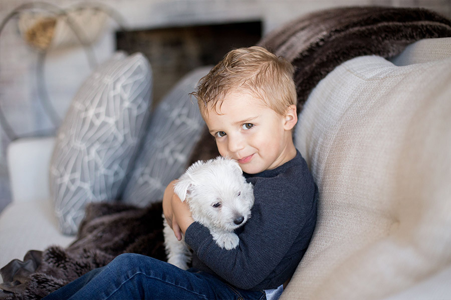 kerek, martin, marisa. dog, breeder, mount, mt, joy, pa, pennsylvania, kennel, kerek-martin, marisa-martin, dog-breeder, usda, puppy, mill, for, sale, 